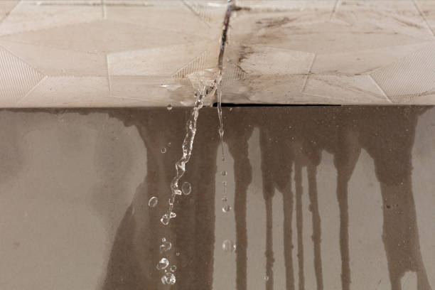 Professional Water Damage Repair technician working in Springtown, TX
